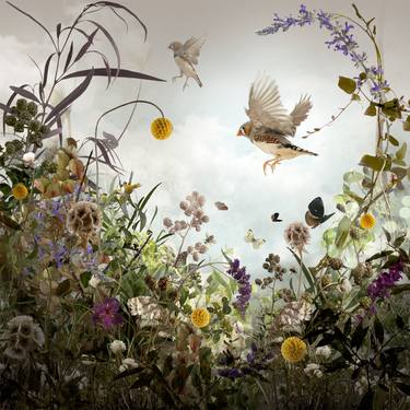 Original Floral Photography by Ysabel LeMay