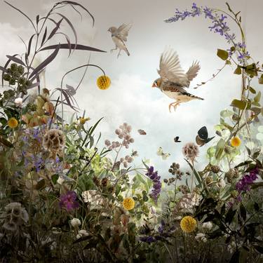 Original Surrealism Floral Photography by Ysabel LeMay