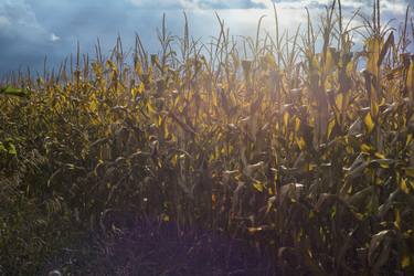 Print of Fine Art Landscape Photography by Raffi Kirdi