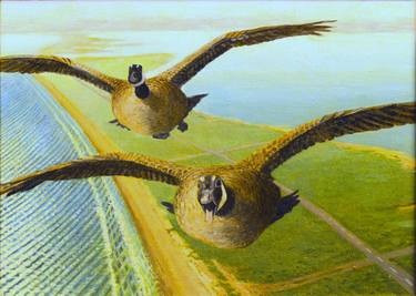 Geese Over Galveston thumb