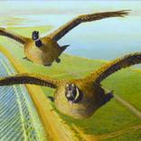 Geese Over Galveston by William Kroll