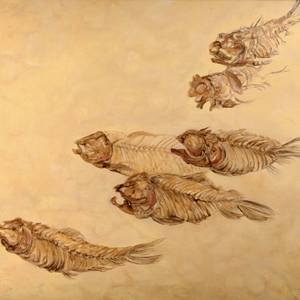 Six Fossilized Followers