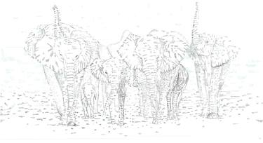 Original Animal Drawings by Marija Maša Jovanović