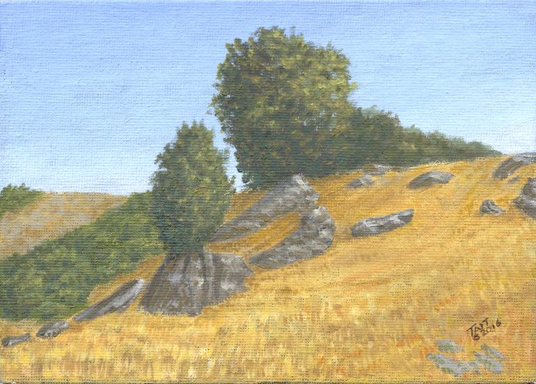 California summer landscape Nicasio 001 Painting by Will Tait Saatchi Art