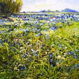 Field of love by Sonja Brussen