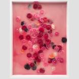 The Bee in Your Bonnet (Carnation) by Thom Wolfe