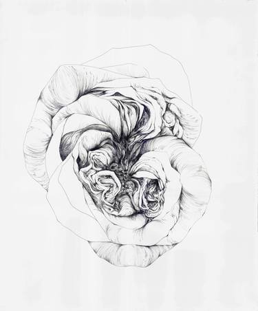 Print of Abstract Floral Drawings by Jessica Palomo