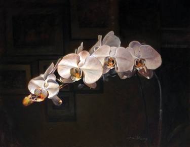 White Moth Orchid thumb