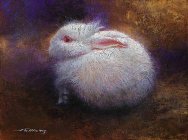 Fluffy White Rabbit thumb