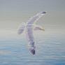 Freedom is a 30 x 24 x 0.5 inches oil painting on canvas showing a lone seagull gliding over a calm blue sparkling sea. The ocean is tranquil and the gull is in no hurry. Behind her, the sea glows white towards the horizon which is lost in a white haze. Light sparkles show on the peaks of the turquoise blue waves. I painted this because I wanted something calming and serene and find it represents freedom for me. I also painted it during the hot summer days of July and really wanted to be on holiday so it became a substitute :-) It had to be a lone gull because I am a fan of Jonathan Livingston Seagull by Richard Bach. The painting is ready to hang, white edges, frame recommended but not essential