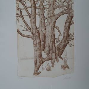 Collection Originals for $1000 and Under