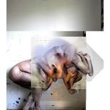 Tortured by benoit david