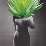 Womanplant by Jorge Chamorro