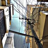 Collection NPQ's Spring 2015 Edtion