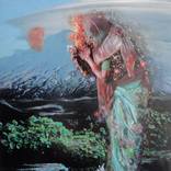 Vision of Asteria by Amanda Baron