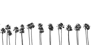 Row of Palms - Limited Edition 1 of 25 thumb