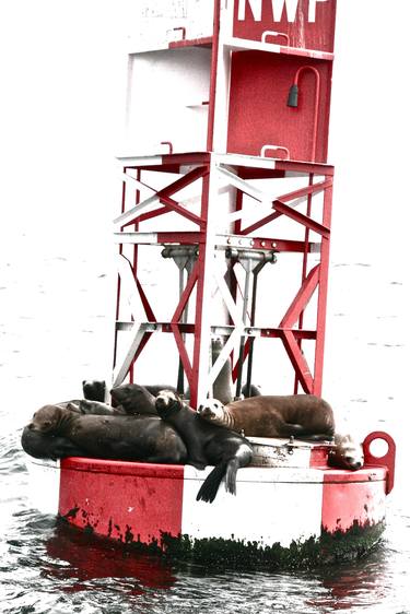 Original Documentary Boat Photography by Susan Burger