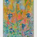 Organic colorful landscape and flowers by Sebastián Galeano