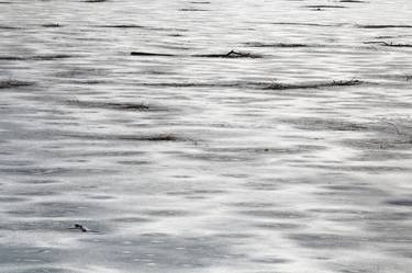 4 seasons in a local park - water reflections, winter 5 thumb