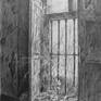 view additional image 1