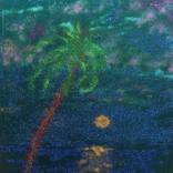 PALM by Nicola Morea