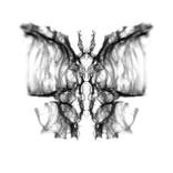 strange inside - Limited Edition 4 of 25 by Emma Champion