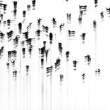 Flight Pattern II by Emma Champion