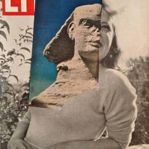 Collection Fresh Faces