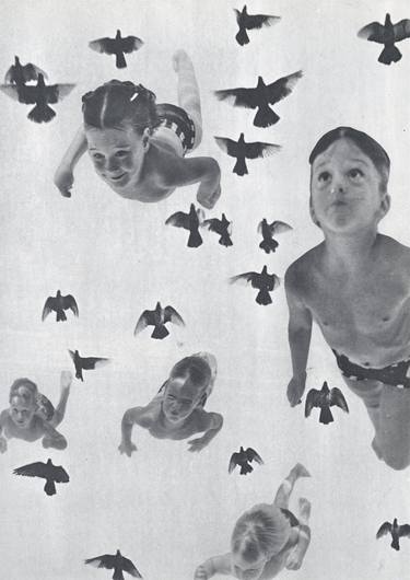 Print of Conceptual Children Collage by Deborah Stevenson