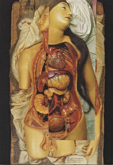 Print of Body Collage by Deborah Stevenson