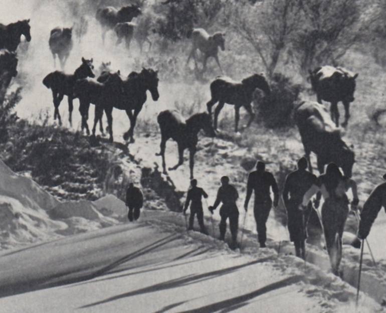 Original Conceptual Fantasy Collage by Deborah Stevenson