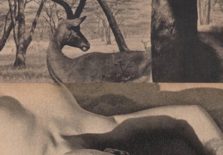 Original Conceptual Nude Collage by Deborah Stevenson