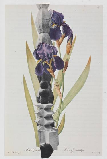 Original Conceptual Botanic Collage by Deborah Stevenson