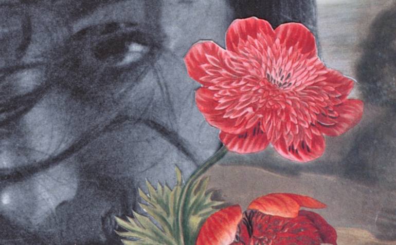 Original Conceptual Botanic Collage by Deborah Stevenson