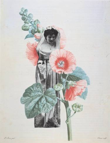 Original Dada Botanic Collage by Deborah Stevenson