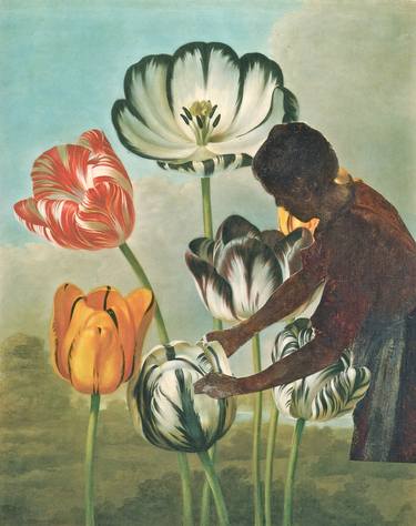 Print of Surrealism Botanic Collage by Deborah Stevenson