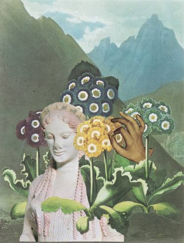 Print of Dada Botanic Collage by Deborah Stevenson
