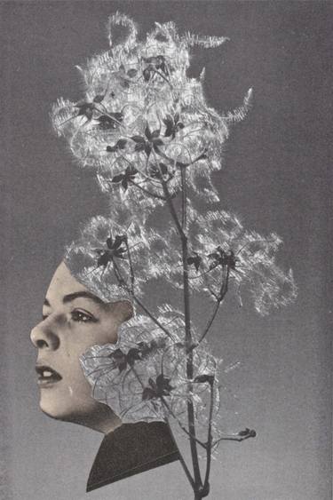Print of Mortality Collage by Deborah Stevenson