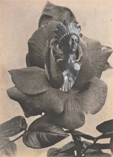 Print of Conceptual Botanic Collage by Deborah Stevenson