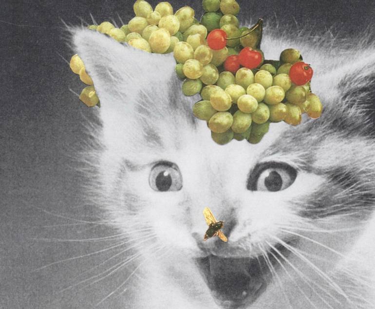 Original Pop Art Animal Collage by Deborah Stevenson