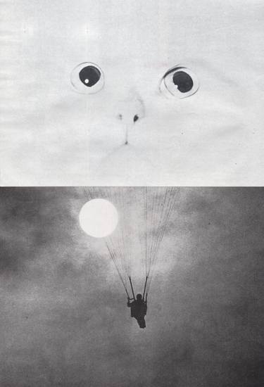 Print of Cats Collage by Deborah Stevenson