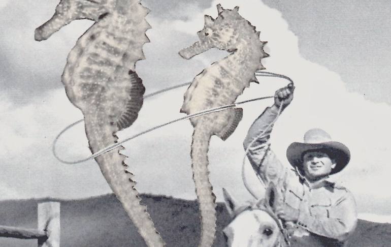 Original Conceptual Humor Collage by Deborah Stevenson