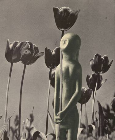Print of Conceptual Botanic Collage by Deborah Stevenson