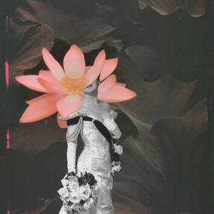 Collection Best Art of Interior Design