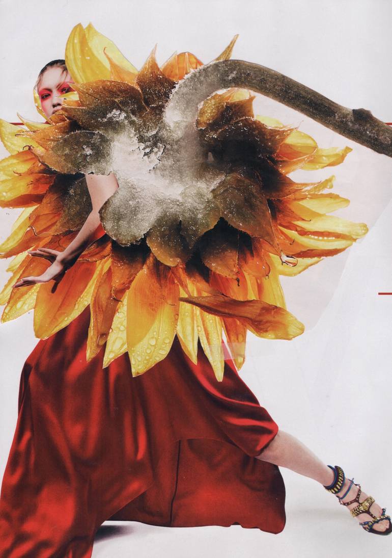 Bloom Boom Collage by Deborah Stevenson | Saatchi Art