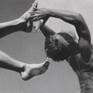 This piece features vintage photographs depicting two beautiful men in a fanciful circle dance.