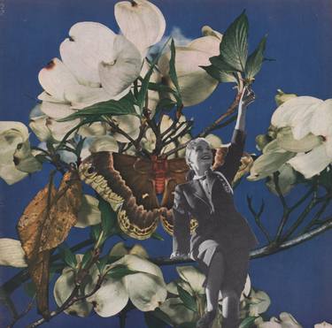 Print of Dada Fantasy Collage by Deborah Stevenson