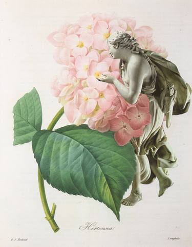 Print of Conceptual Botanic Collage by Deborah Stevenson