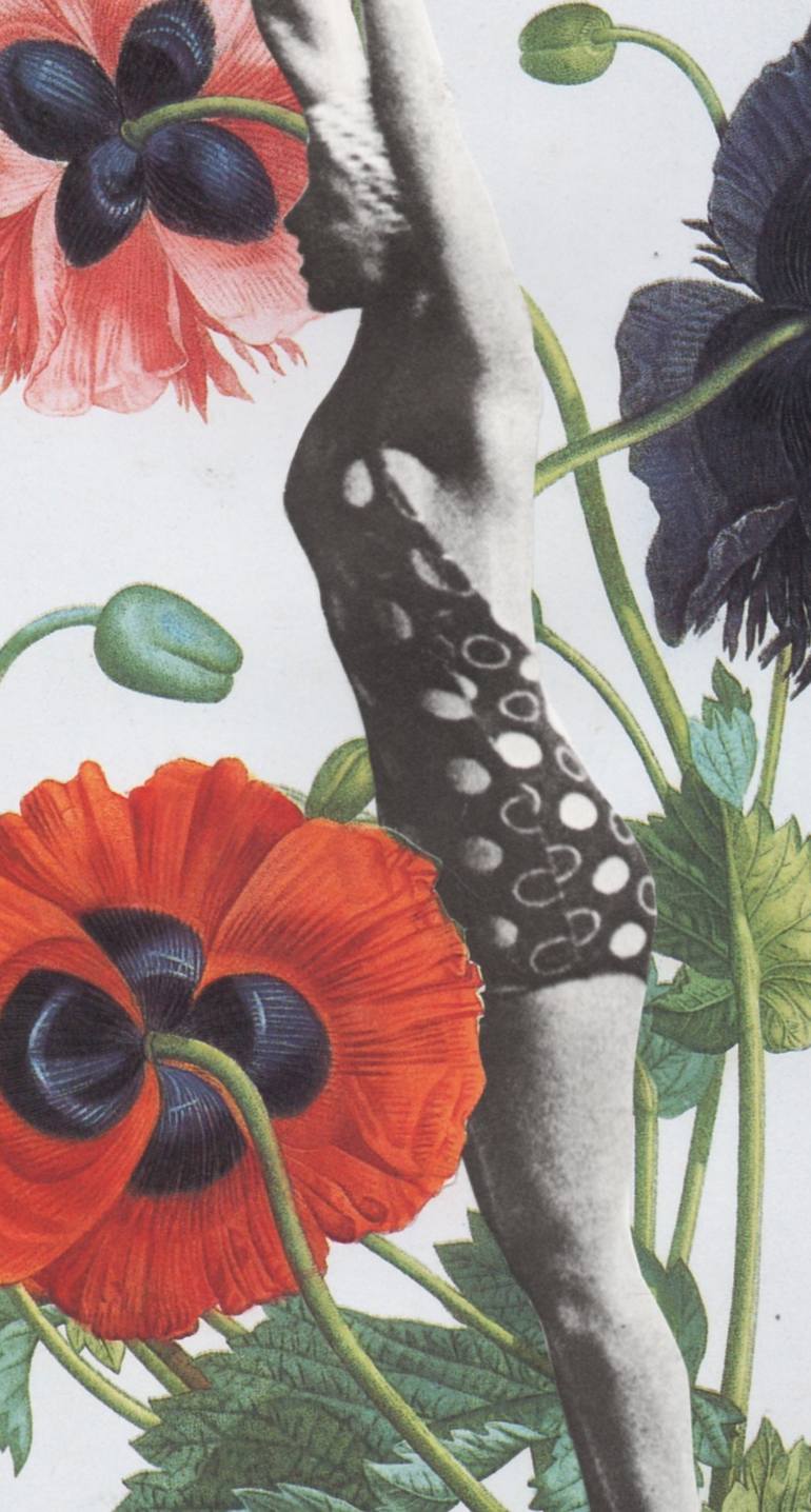 Original Dada Botanic Collage by Deborah Stevenson