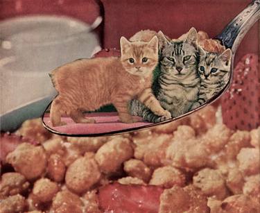 Print of Dada Cats Collage by Deborah Stevenson